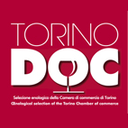 Torino Doc